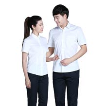 白色職業(yè)短袖襯衫ZL0