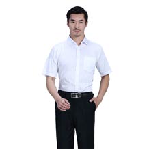 精品正常款短袖襯衫ZL009