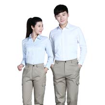 長(zhǎng)袖翻領(lǐng)時(shí)尚職業(yè)襯衫ZL012